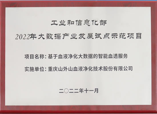 行業(yè)唯一！山外山公司入選“2022年大數(shù)據(jù)產(chǎn)業(yè)發(fā)展試點示范項目”